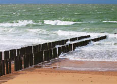 Der Großteil des im Meer umherschwimmenden Mülls ist Plastikmüll - immer mehr wieder dieser zur Gefahr für Fische, Vögel und Meeressäuger.
